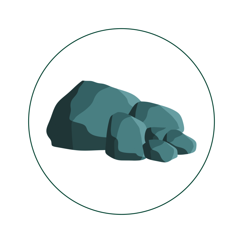 Cuidar do local em que vivemos